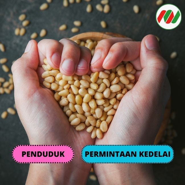 5 Aspek yang Perlu Dipertimbangkan Dalam Permintaan Kedelai